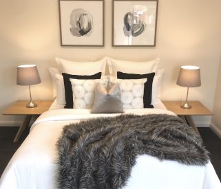 Frames and Fur