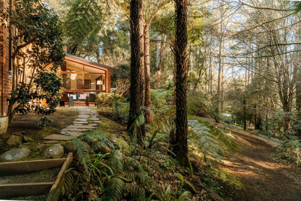 Brick home surrounded by lush ferns and native woodland in a house in Olinda