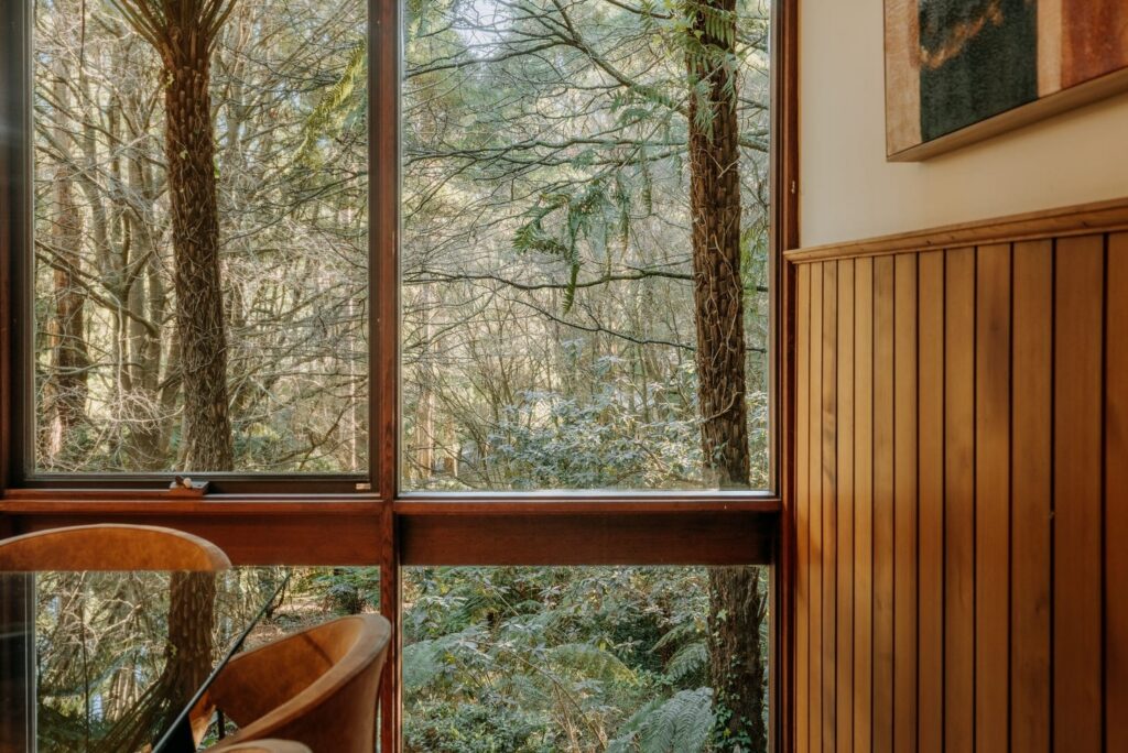 Large timber-framed windows overlooking dense forest greenery in a house in Olinda